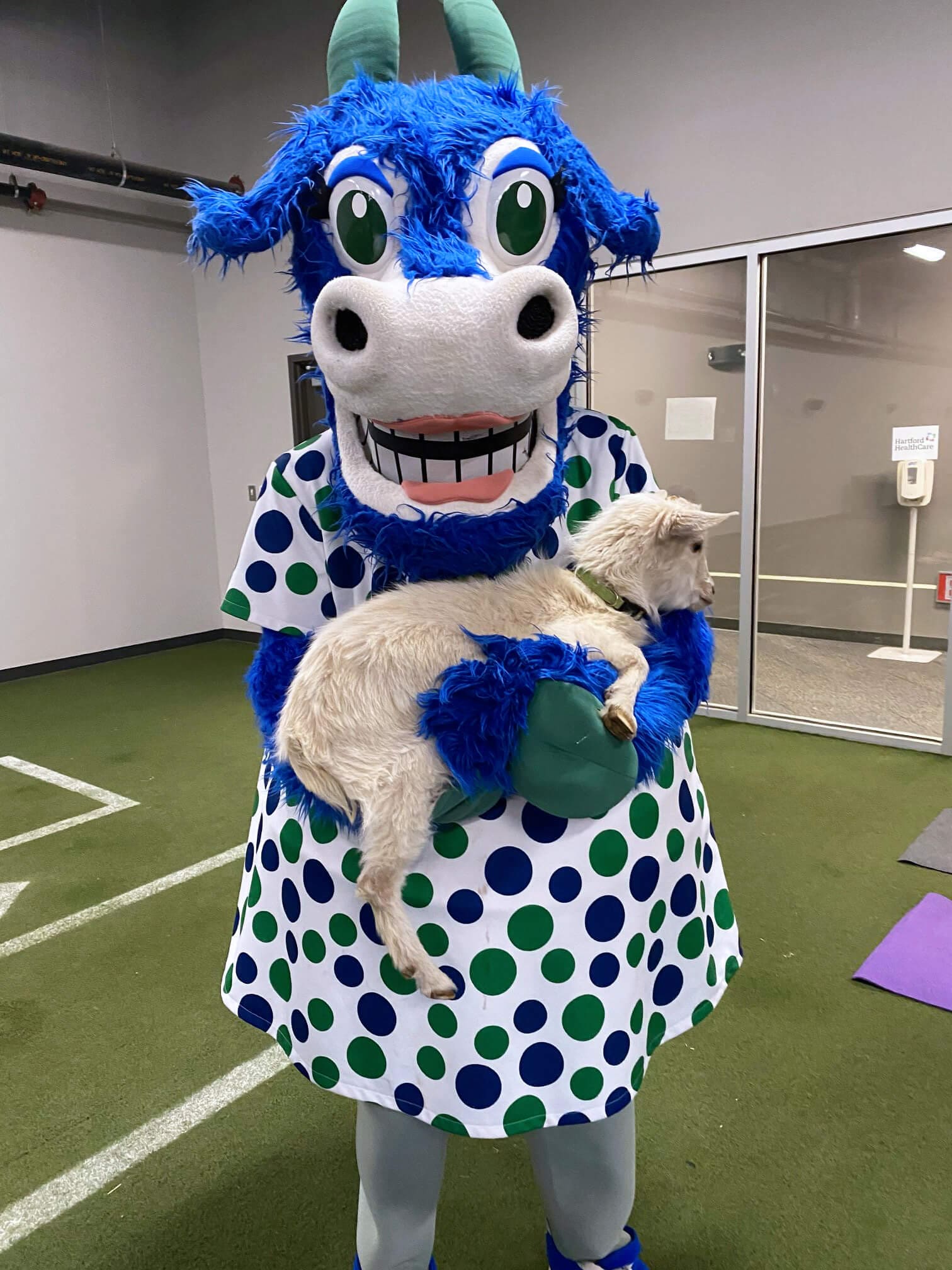 Hartford Yard Goats Mascots – Chompers & Chew Chew - Olympus Mascots